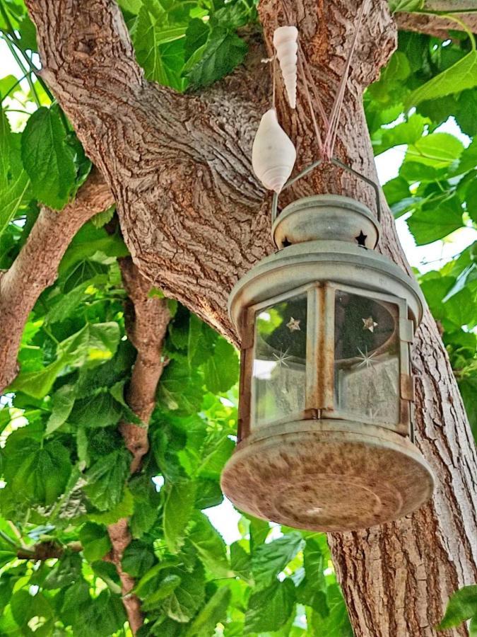 Porto Arimar Hotel Antikyra Dış mekan fotoğraf