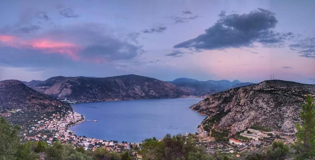 Porto Arimar Hotel Antikyra Dış mekan fotoğraf